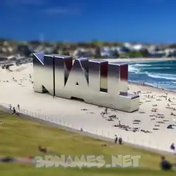 niall in Bondi Beach style - 3D name wallpaper