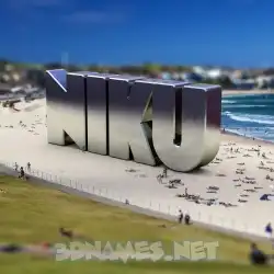 niku in Bondi Beach style - 3D name wallpaper