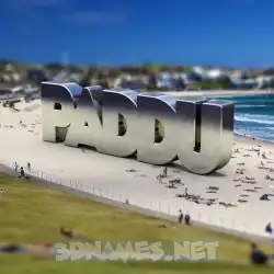 paddu in Bondi Beach style - 3D name wallpaper