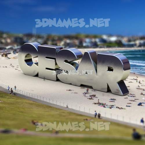 Bondi Beach