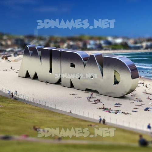 Bondi Beach