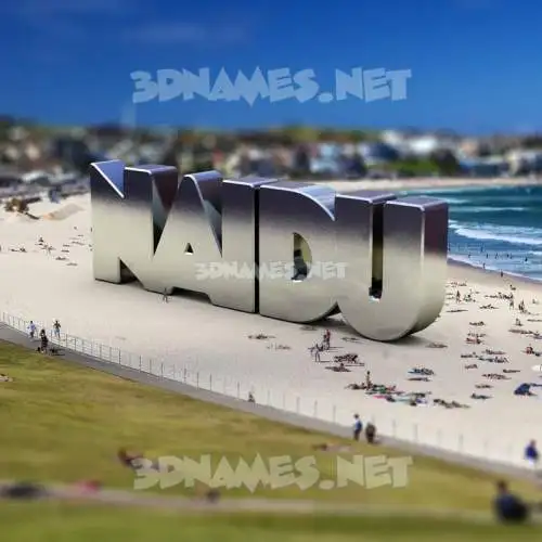 naidu in Bondi Beach style - 3D name wallpaper