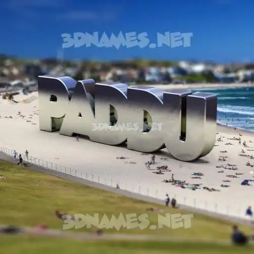 paddu in Bondi Beach style - 3D name wallpaper paddu in Bondi Beach style - 3D name wallpaper