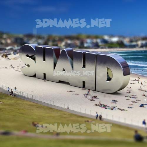 Bondi Beach