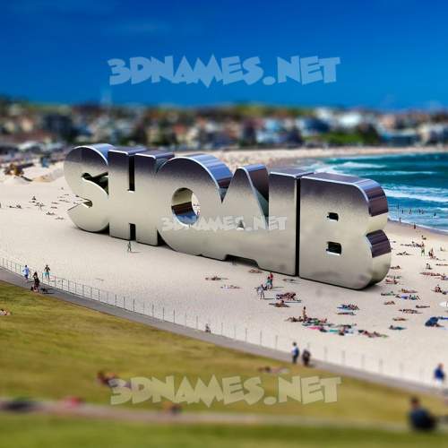 Bondi Beach