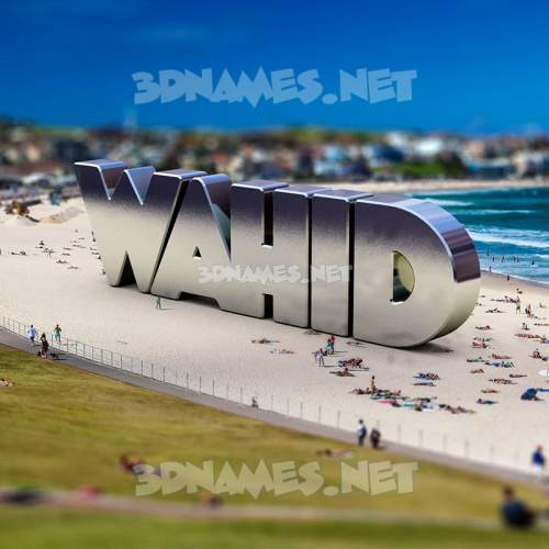 Bondi Beach