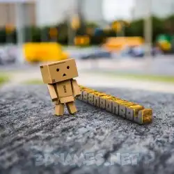 naveenponraj in Hello Danbo style - 3D name wallpaper