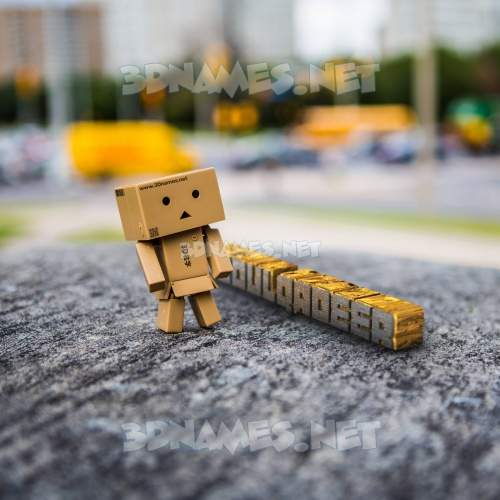 Hello Danbo
