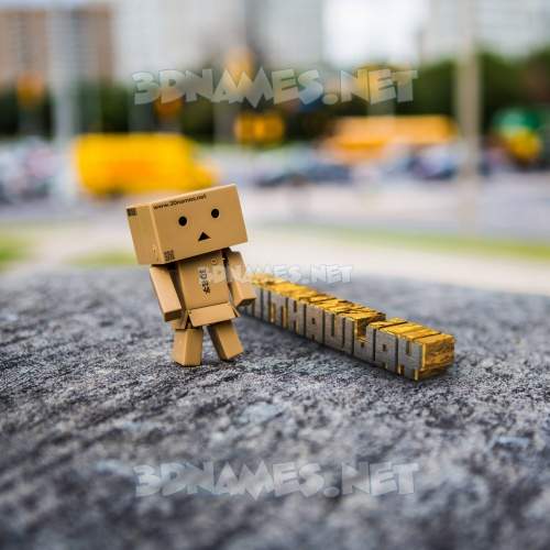 Hello Danbo