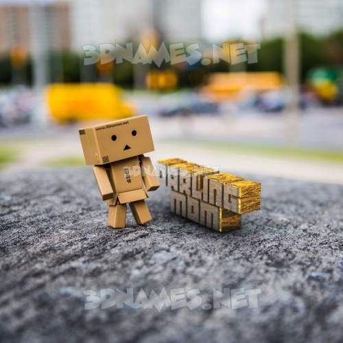 Hello Danbo
