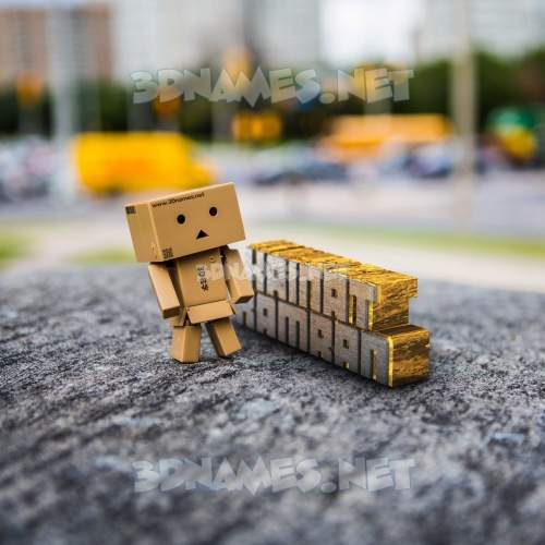 Hello Danbo