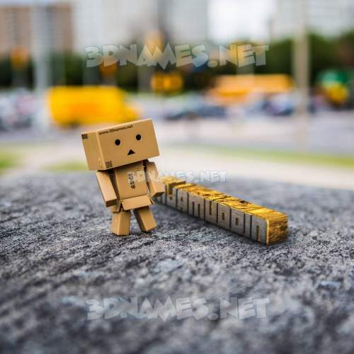 Hello Danbo