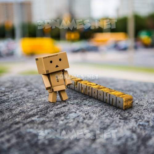 Hello Danbo