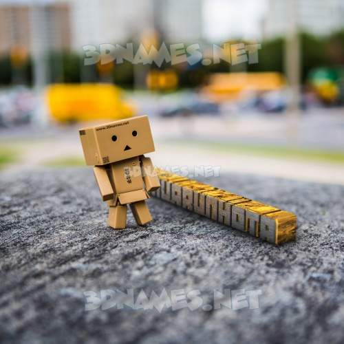 Hello Danbo