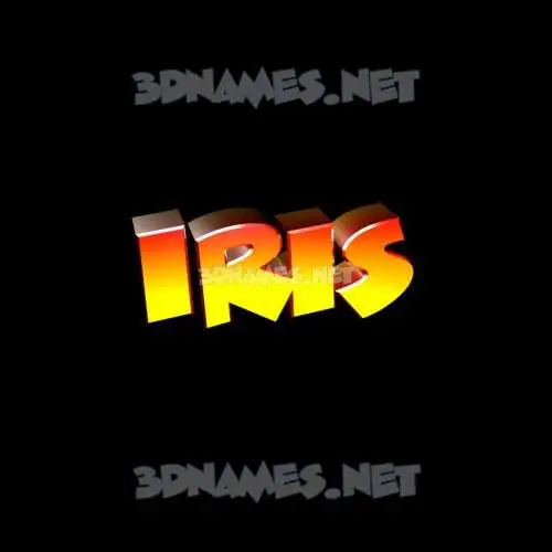 iris in Black Background style - 3D name wallpaper iris in Black Background style - 3D name wallpaper