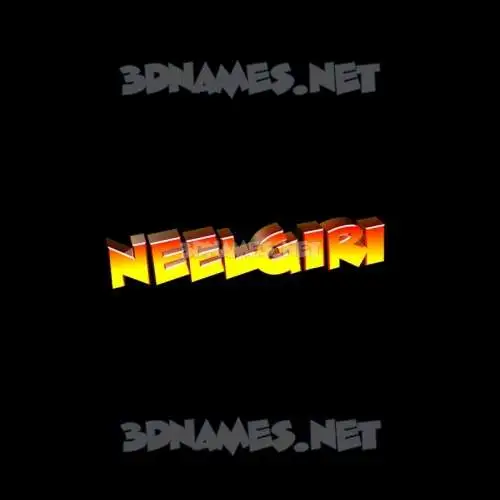 neelgiri in Black Background style - 3D name wallpaper neelgiri in Black Background style - 3D name wallpaper