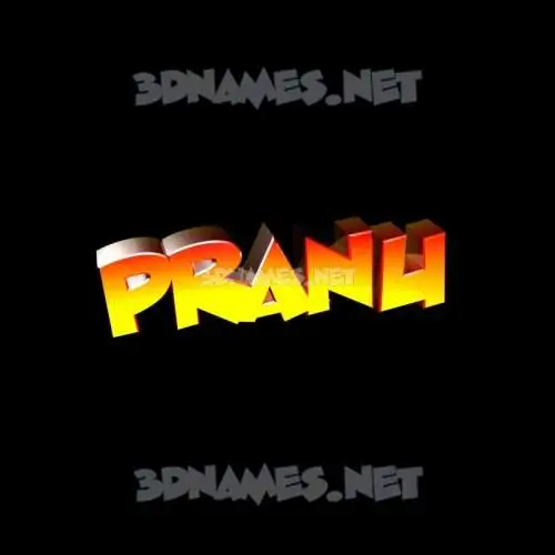 pranu in Black Background style - 3D name wallpaper pranu in Black Background style - 3D name wallpaper