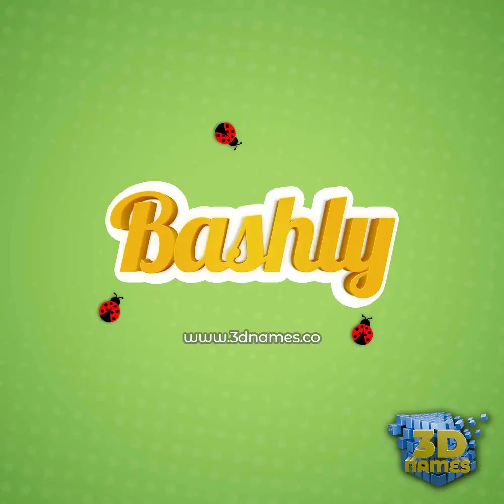 bashly in Ladybugs style - 3D name wallpaper
