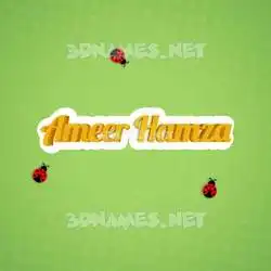 ameer hamza in Ladybugs style - 3D name wallpaper