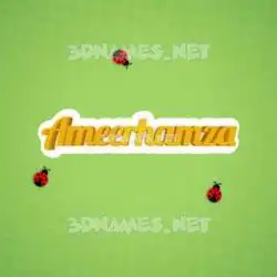 ameerhamza in Ladybugs style - 3D name wallpaper
