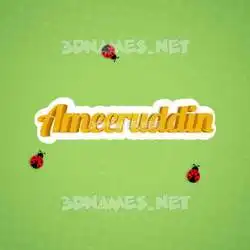 ameeruddin in Ladybugs style - 3D name wallpaper