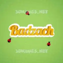 badzach in Ladybugs style - 3D name wallpaper