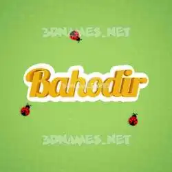 bahodir in Ladybugs style - 3D name wallpaper
