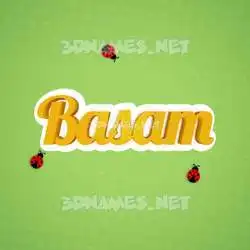 basam in Ladybugs style - 3D name wallpaper