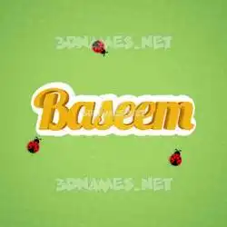 baseem in Ladybugs style - 3D name wallpaper