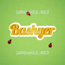 bashyer in Ladybugs style - 3D name wallpaper