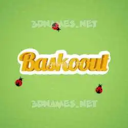 baskoout in Ladybugs style - 3D name wallpaper