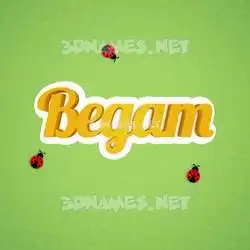 begam in Ladybugs style - 3D name wallpaper