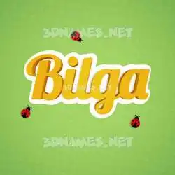 bilga in Ladybugs style - 3D name wallpaper