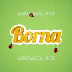 borna in Ladybugs style - 3D name wallpaper