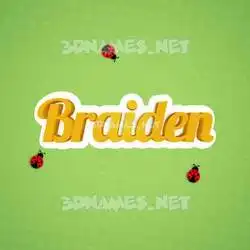 braiden in Ladybugs style - 3D name wallpaper