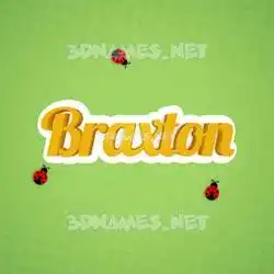 braxton in Ladybugs style - 3D name wallpaper
