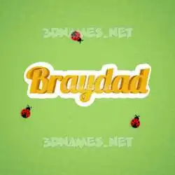 braydad in Ladybugs style - 3D name wallpaper