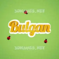 bulgan in Ladybugs style - 3D name wallpaper