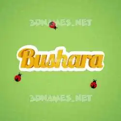 bushara in Ladybugs style - 3D name wallpaper