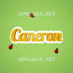 caneron in Ladybugs style - 3D name wallpaper