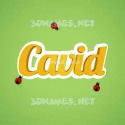 cavid in Ladybugs style - 3D name wallpaper