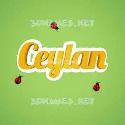 ceylan in Ladybugs style - 3D name wallpaper