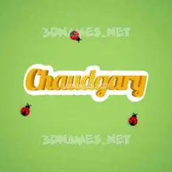 chaudgary in Ladybugs style - 3D name wallpaper
