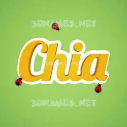 chia in Ladybugs style - 3D name wallpaper