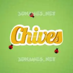 chives in Ladybugs style - 3D name wallpaper