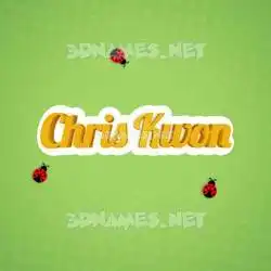 chris kwon in Ladybugs style - 3D name wallpaper