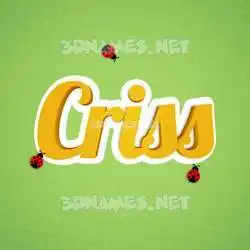 criss in Ladybugs style - 3D name wallpaper