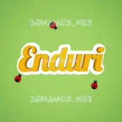 enduri in Ladybugs style - 3D name wallpaper