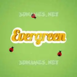 evergreen in Ladybugs style - 3D name wallpaper