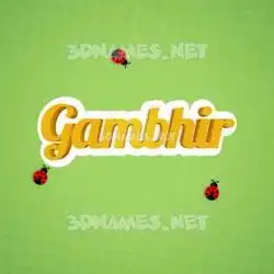 gambhir in Ladybugs style - 3D name wallpaper